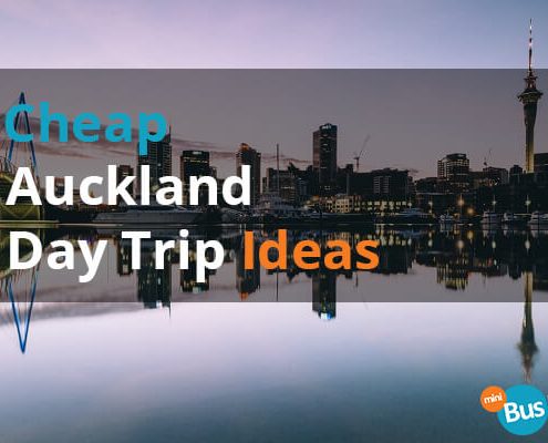 Cheap Auckland Day Trip Ideas