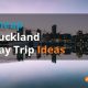 Cheap Auckland Day Trip Ideas