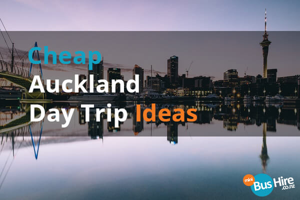 day trip ideas from auckland