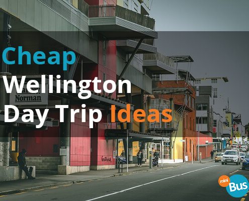 Cheap Wellington Day Trip Ideas