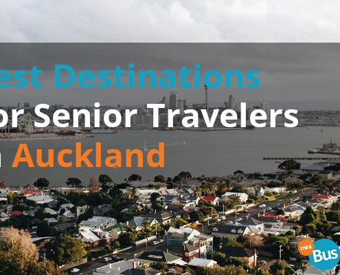 Best Destinations For Senior Travelers In Auckland